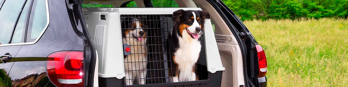 Siège auto, sac vert de transport pour chien, taille M pour chiens de  petite et moyenne taille –