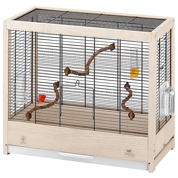 Acheter ICI une cage oiseaux avec accessoires
