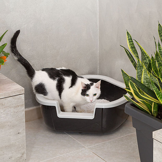 Ferplast Bac Litiere pour Chat, Maison de toilette pour Chat, Bac